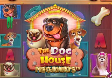 NOVOMATIC - игровой автомат онлайн от Various с RTP 97.58%